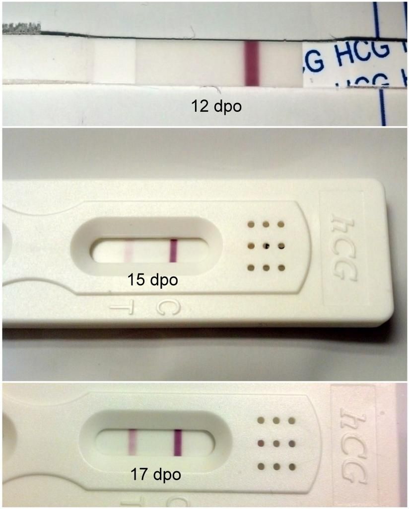 early-testers-if-bfn-on-12-dpo-did-you-get-a-bfp-later-that-cycle